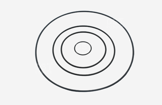 Standard O rings DS Techno Rubber Manufacturing
